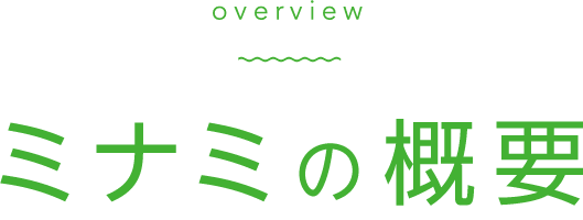 ミナミの概要